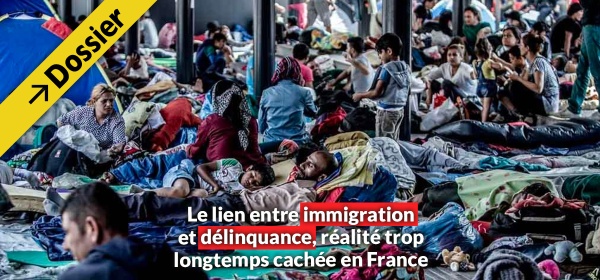 lien immigration delinquance france