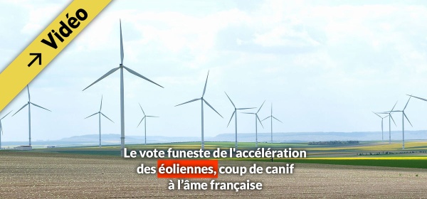 Le vote funeste de l'accélération des éoliennes, coup de canif à l'âme française